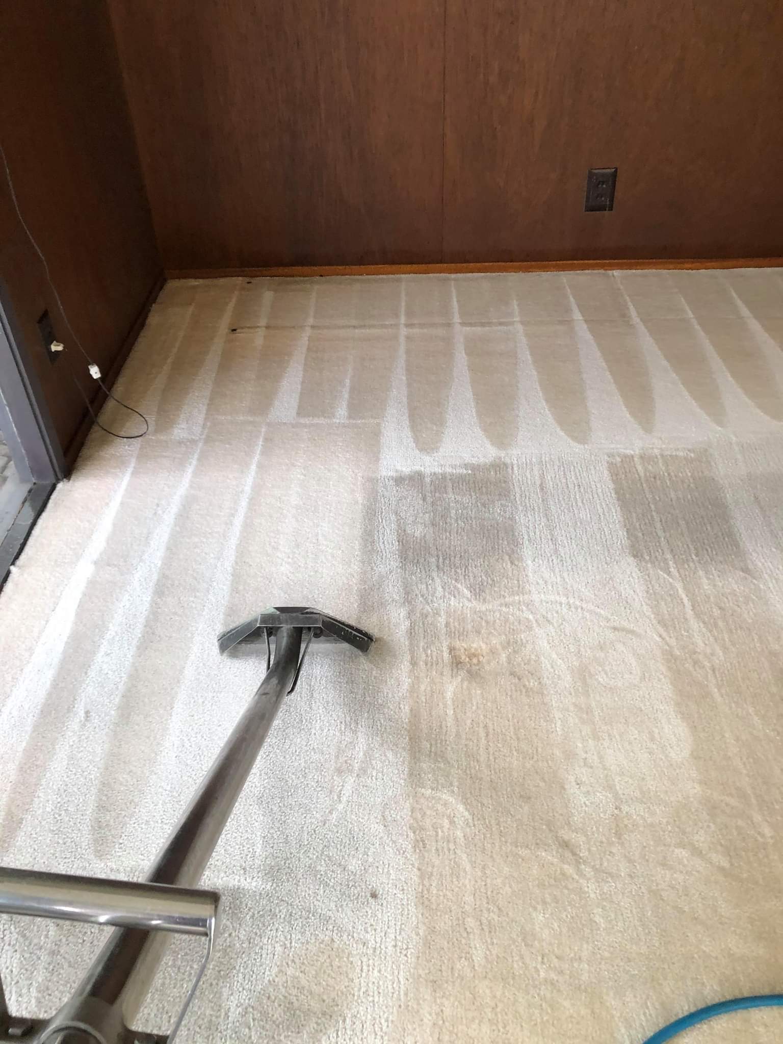 How to deep clean your carpet